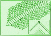 Angle Bead